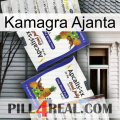 Kamagra Ajanta 12